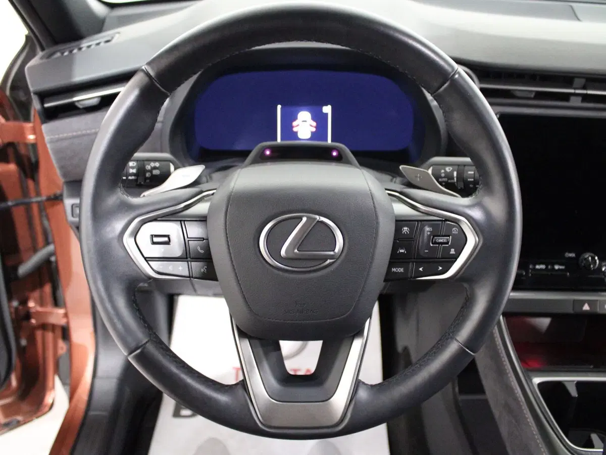 Lexus LBX usata a Firenze (10)