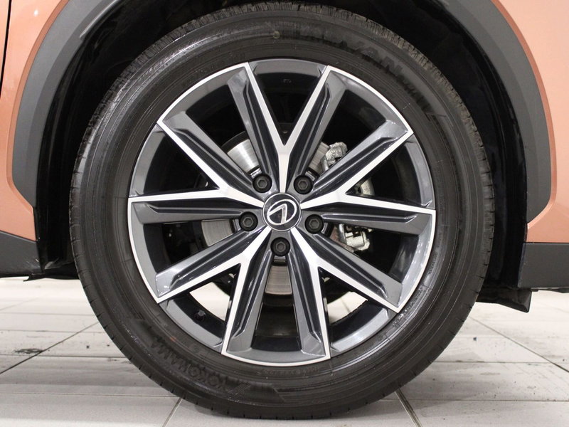 Lexus LBX usata a Firenze (19)