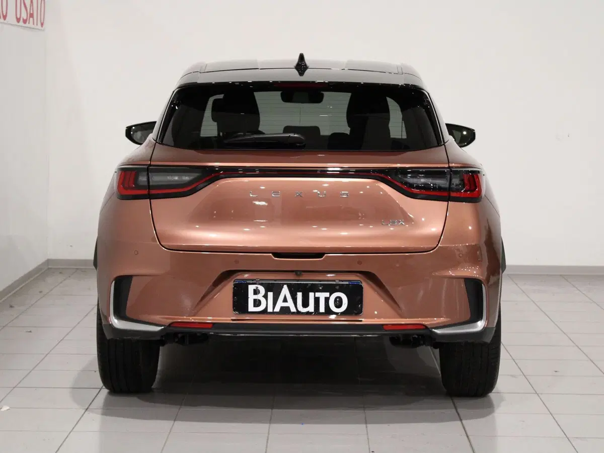 Lexus LBX usata a Firenze (4)