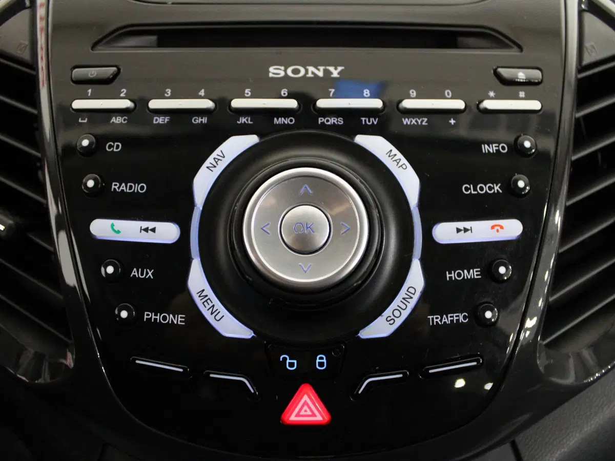 Ford EcoSport usata a Firenze (15)