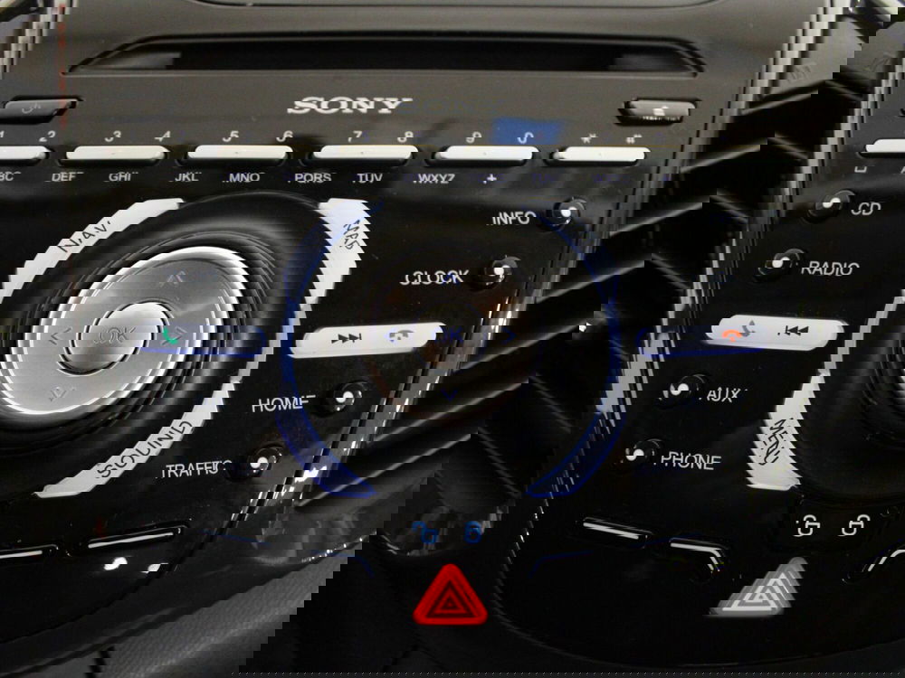 Ford EcoSport usata a Firenze (15)