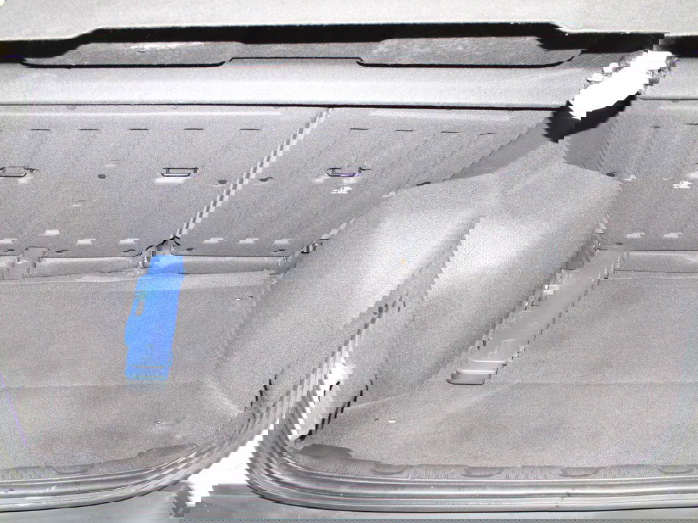 Ford EcoSport usata a Firenze (8)