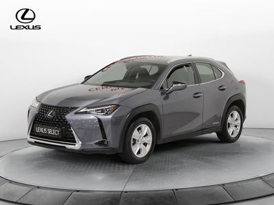 Lexus UX Hybrid Business del 2021 usata a Sesto Fiorentino