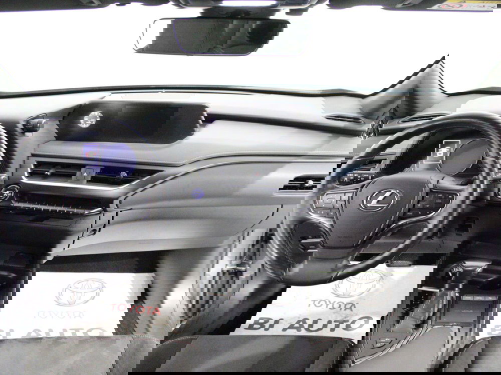 Lexus UX usata a Firenze (10)