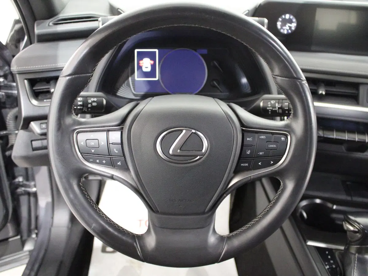Lexus UX usata a Firenze (11)