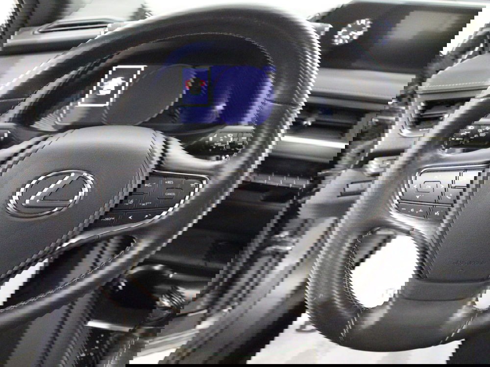 Lexus UX usata a Firenze (11)