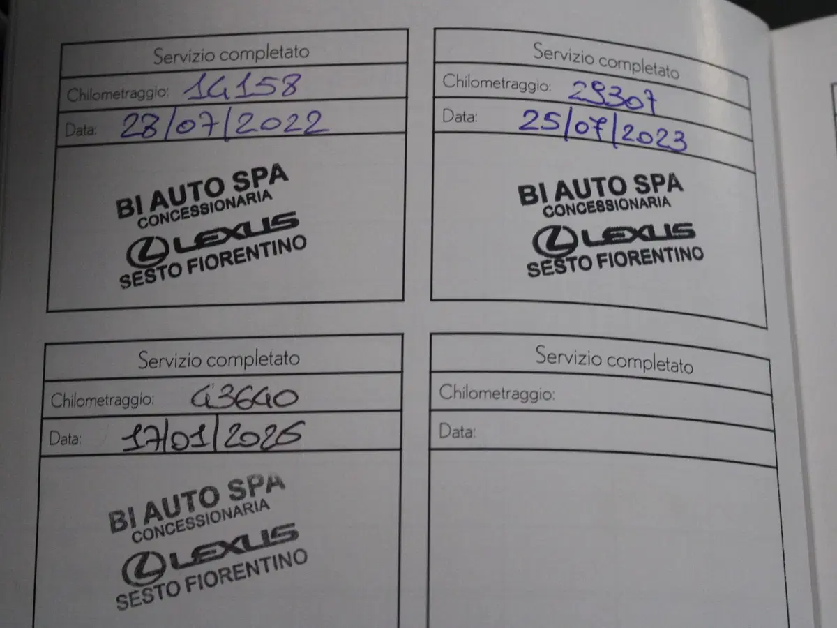Lexus UX usata a Firenze (18)