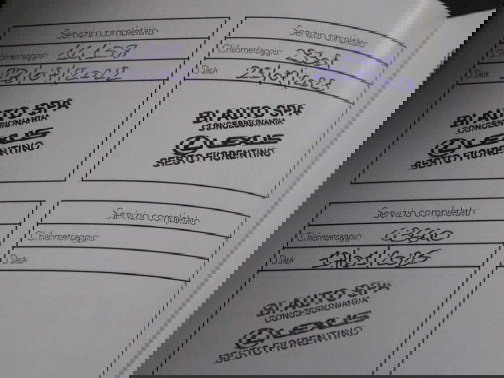 Lexus UX usata a Firenze (18)