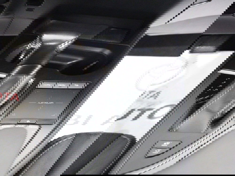 Lexus UX usata a Firenze (19)