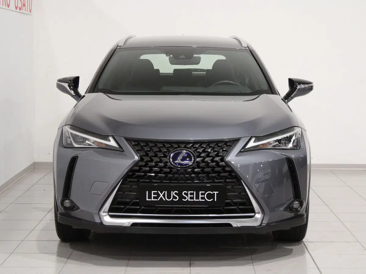 Lexus UX usata a Firenze (4)