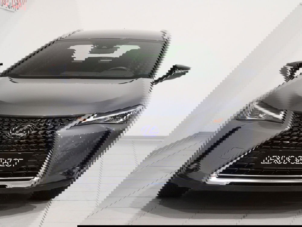 Lexus UX usata a Firenze (4)