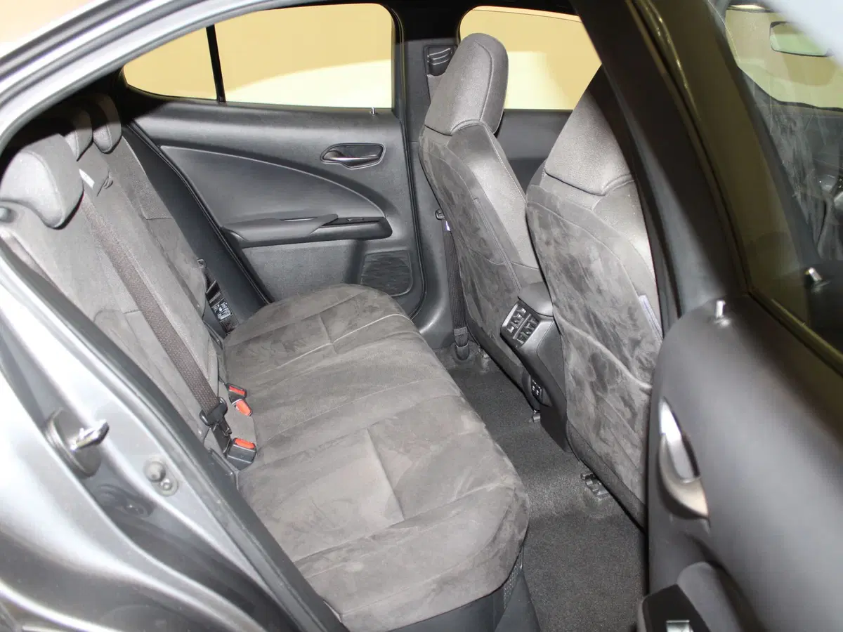 Lexus UX usata a Firenze (7)