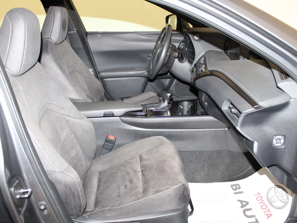 Lexus UX usata a Firenze (8)