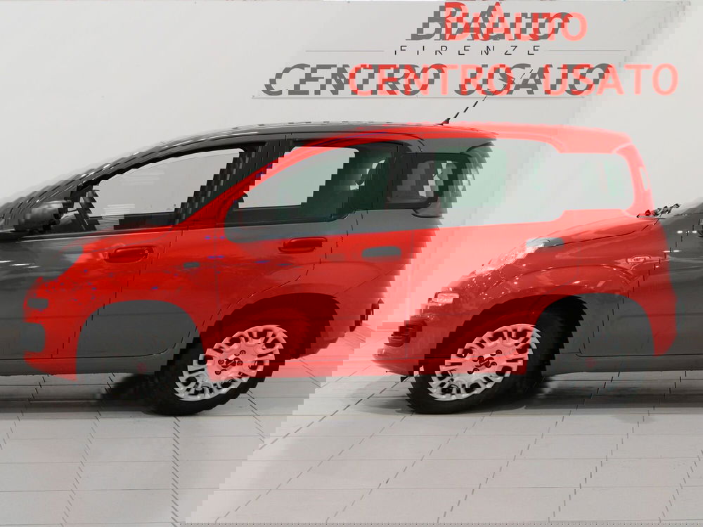 Fiat Panda usata a Firenze (2)