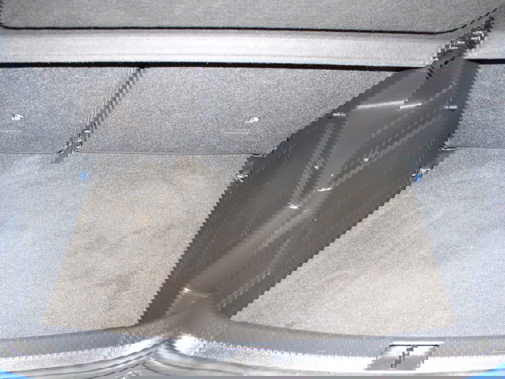 Skoda Fabia usata a Firenze (8)