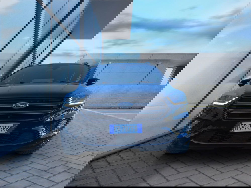 Ford Kuga usata a Cosenza (3)