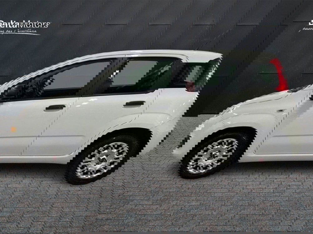 Fiat Panda usata a Macerata (2)