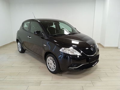 Lancia Ypsilon 1.2 69 CV 5 porte Silver del 2017 usata a Moncalieri