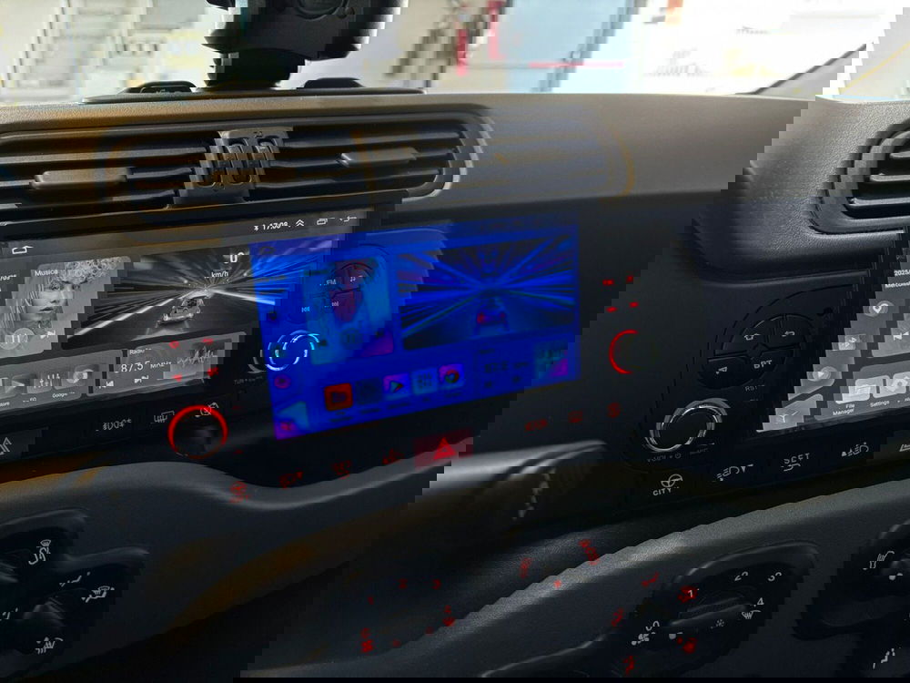 Fiat Panda Cross usata a Pavia (14)