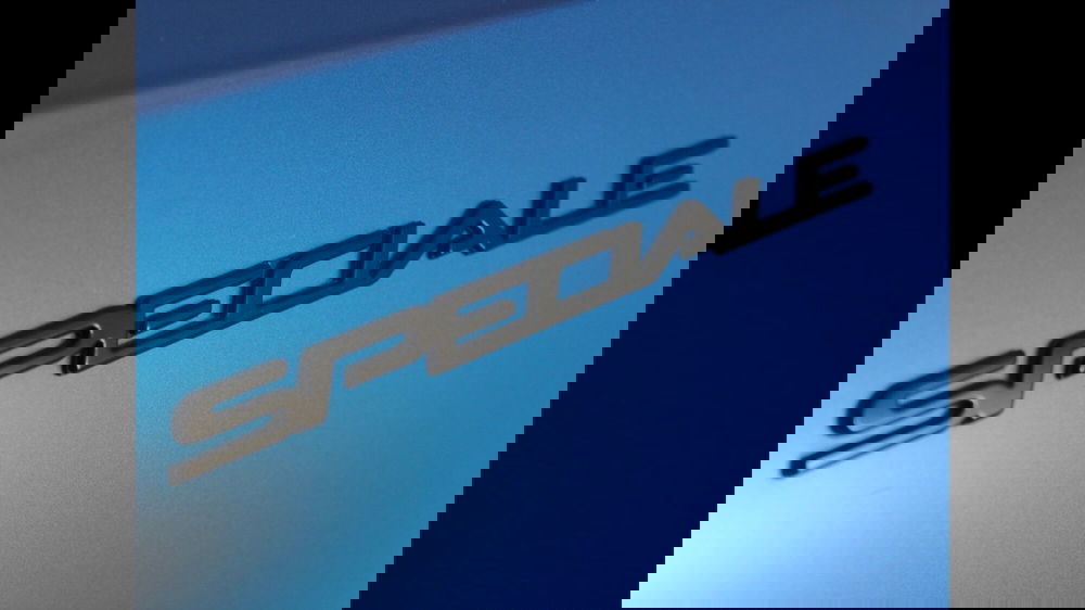 Alfa Romeo Tonale usata a Palermo (12)