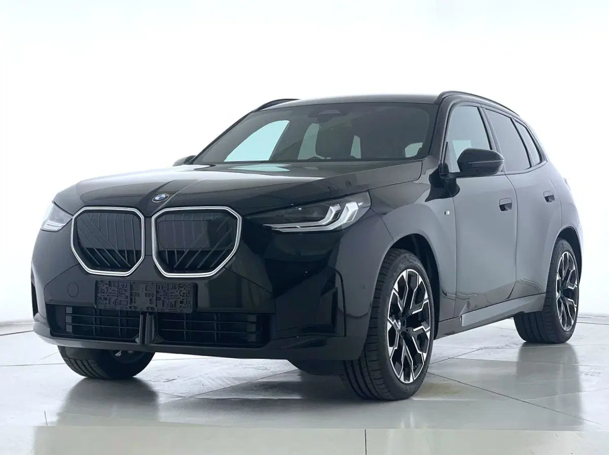BMW X3 usata a Perugia