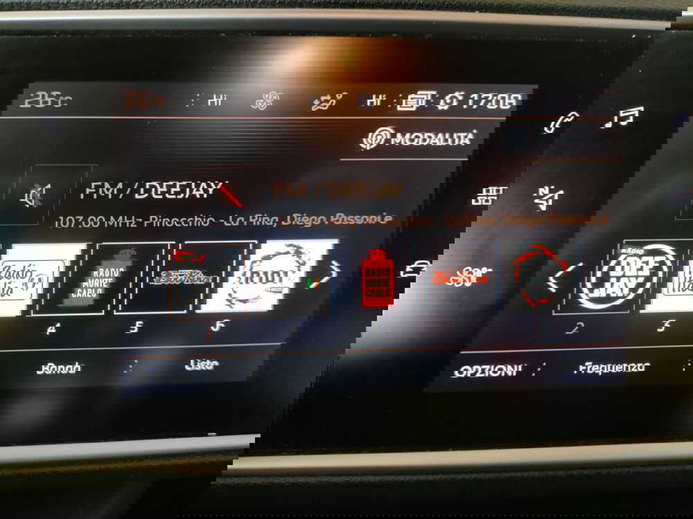 Peugeot 308 SW usata a Cremona (10)