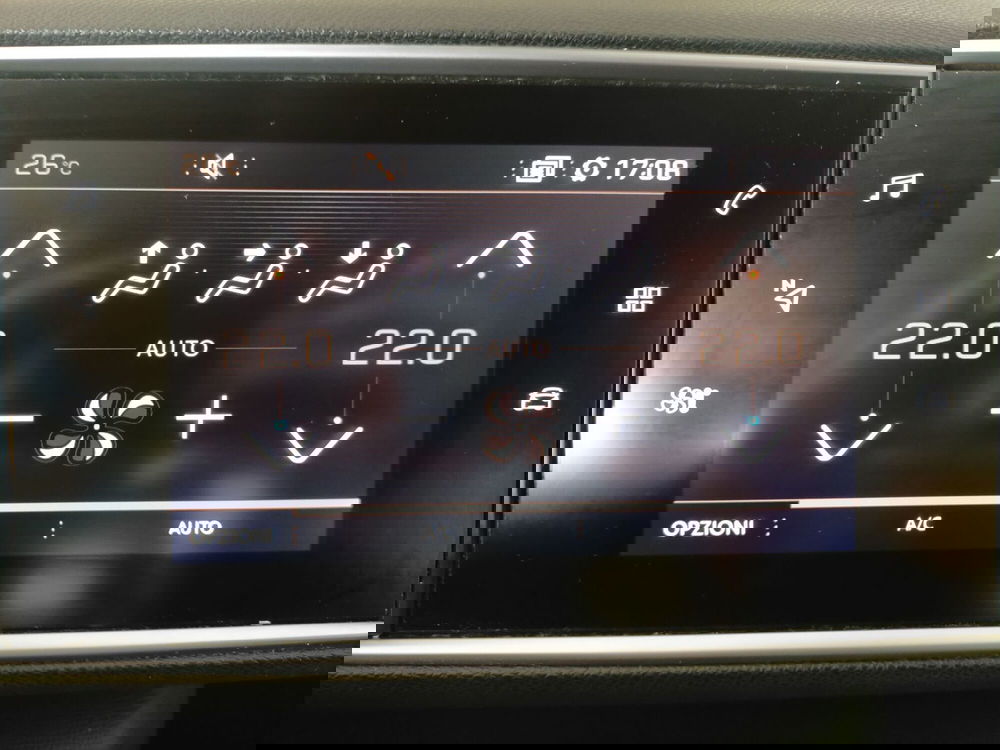 Peugeot 308 SW usata a Cremona (9)