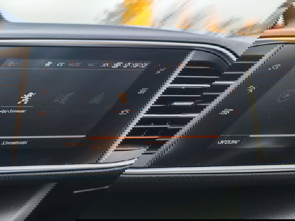 Peugeot 308 SW usata a Cremona (15)