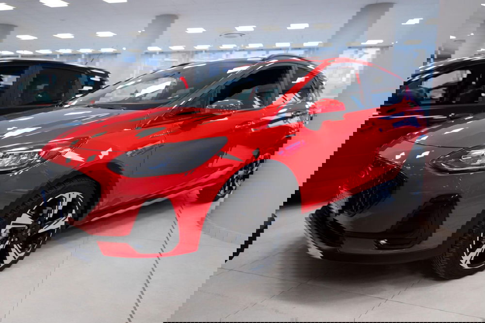 Ford Fiesta usata a Torino