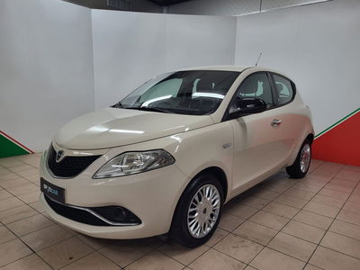 Lancia Ypsilon 1.2 69 CV 5 porte Silver del 2016 usata a Terranuova Bracciolini