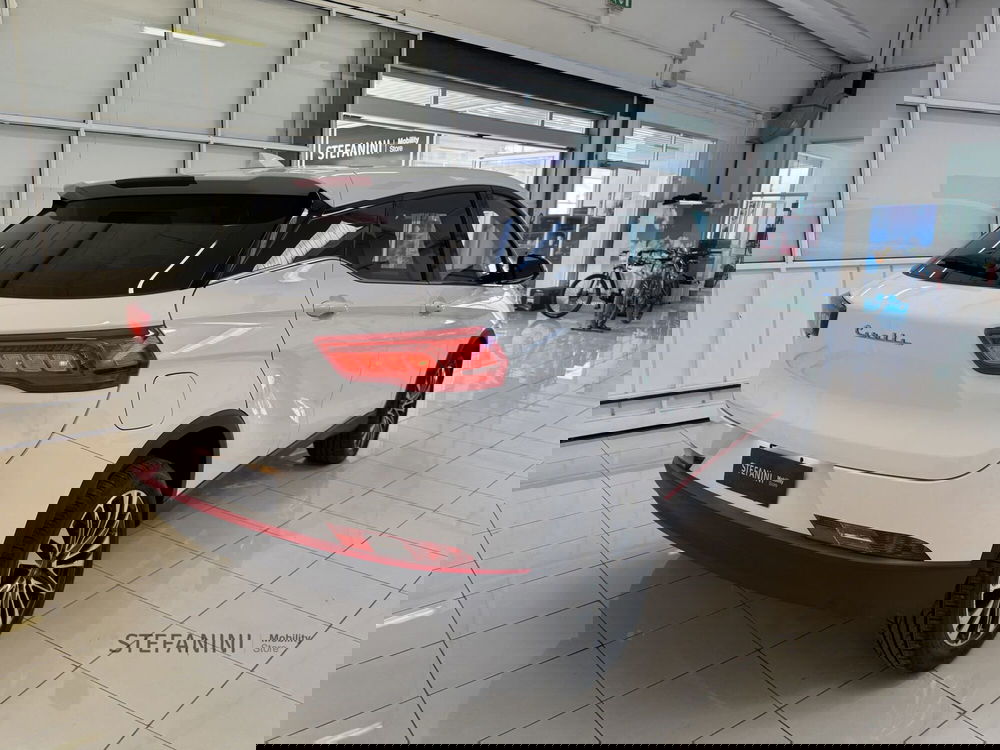 Cirelli Cirelli 2 nuova a Bologna (13)