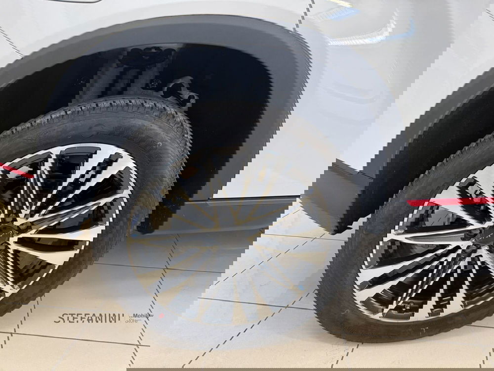 Cirelli Cirelli 2 nuova a Bologna (14)