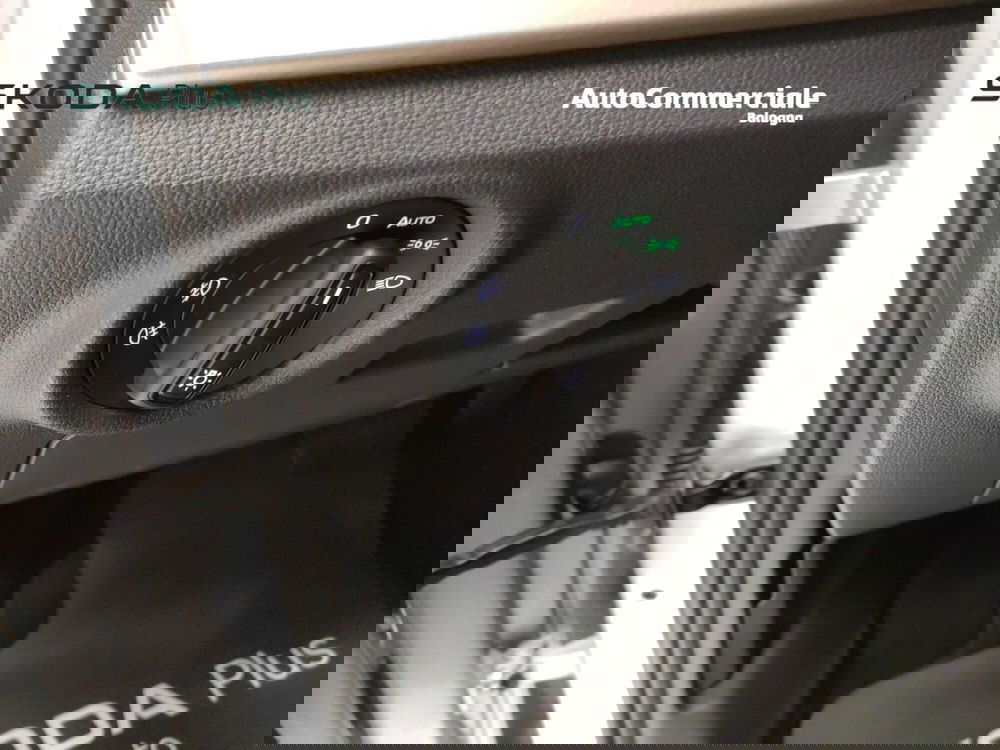 Skoda Kamiq usata a Bologna (10)