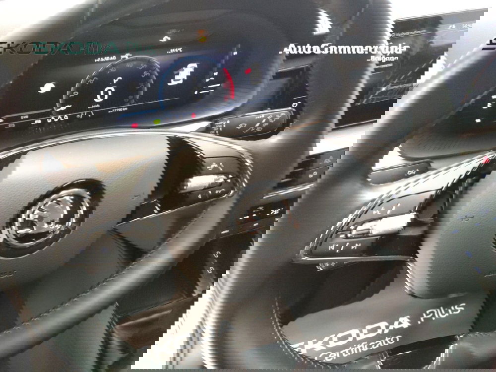 Skoda Kamiq usata a Bologna (11)