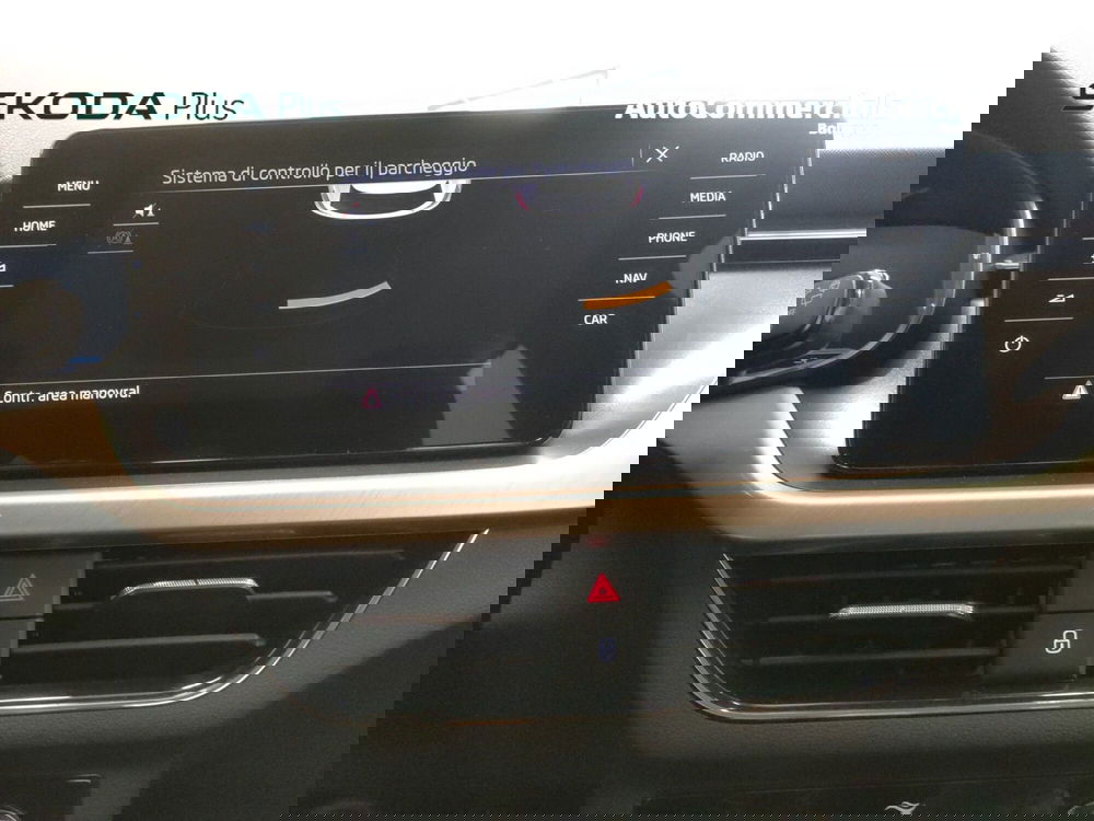 Skoda Kamiq usata a Bologna (15)