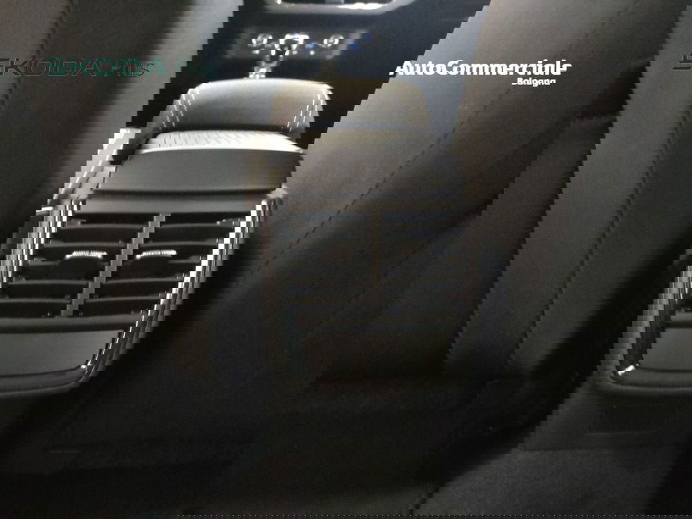 Skoda Kamiq usata a Bologna (16)
