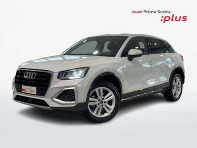 Audi Q2 Q2 35 TFSI Admired Advanced del 2024 usata a Pistoia