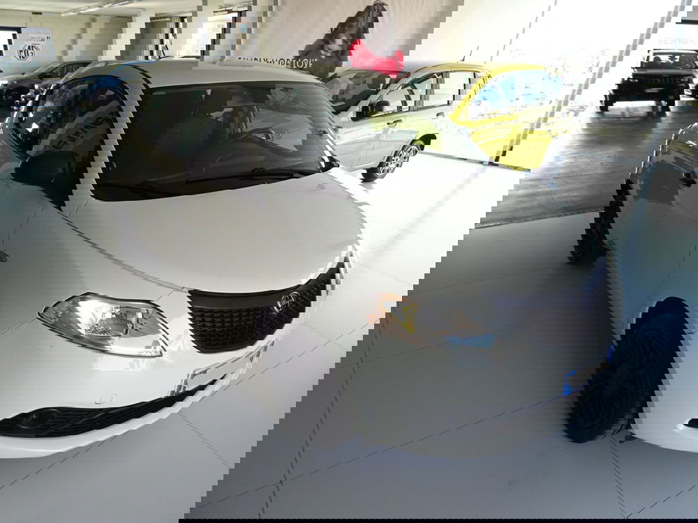 Lancia Ypsilon usata a Lucca (5)