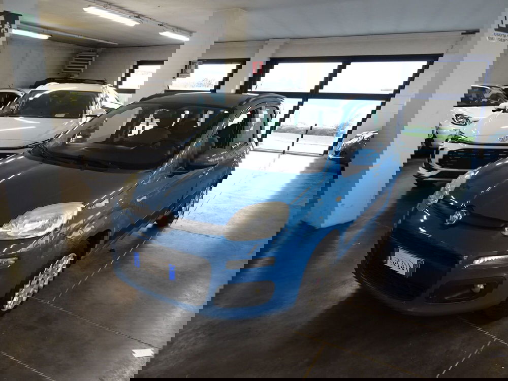 Fiat Panda usata a Lucca