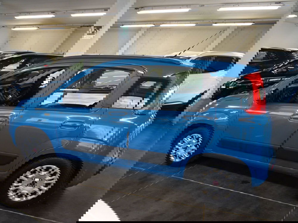 Fiat Panda usata a Lucca (2)