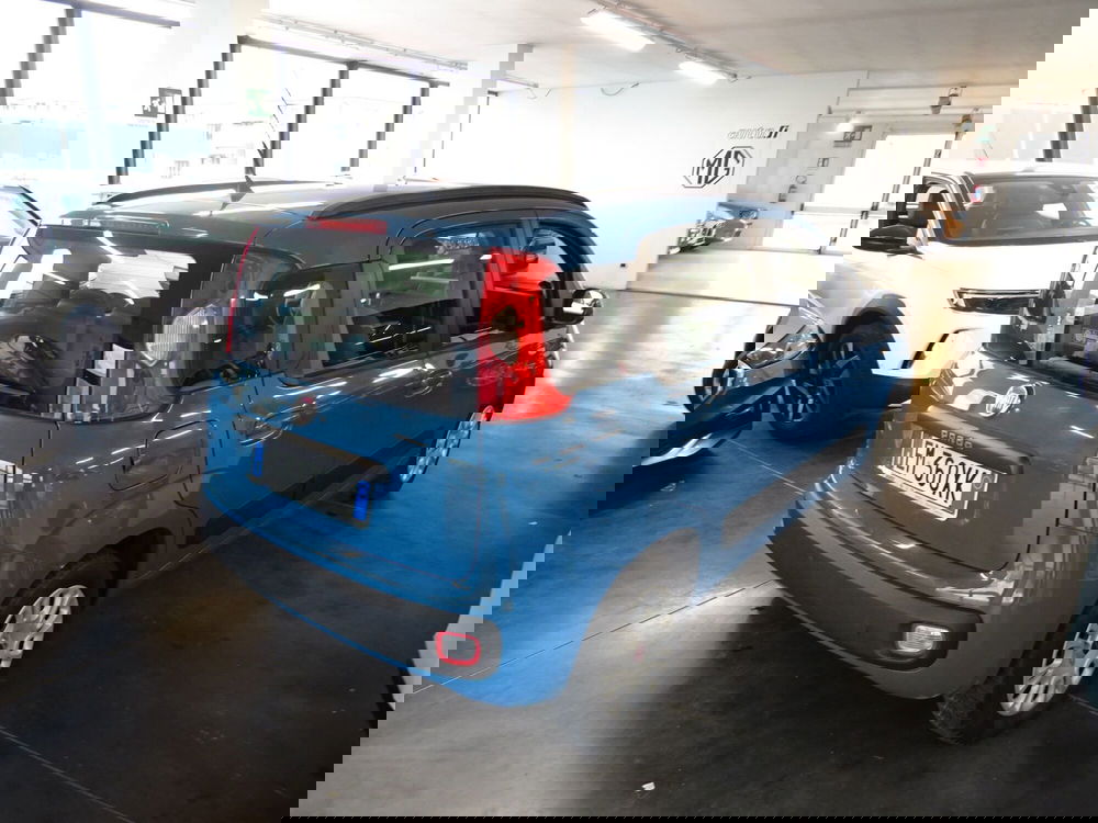 Fiat Panda usata a Lucca (4)