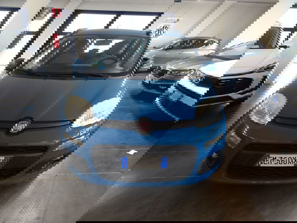 Fiat Panda usata a Lucca (6)