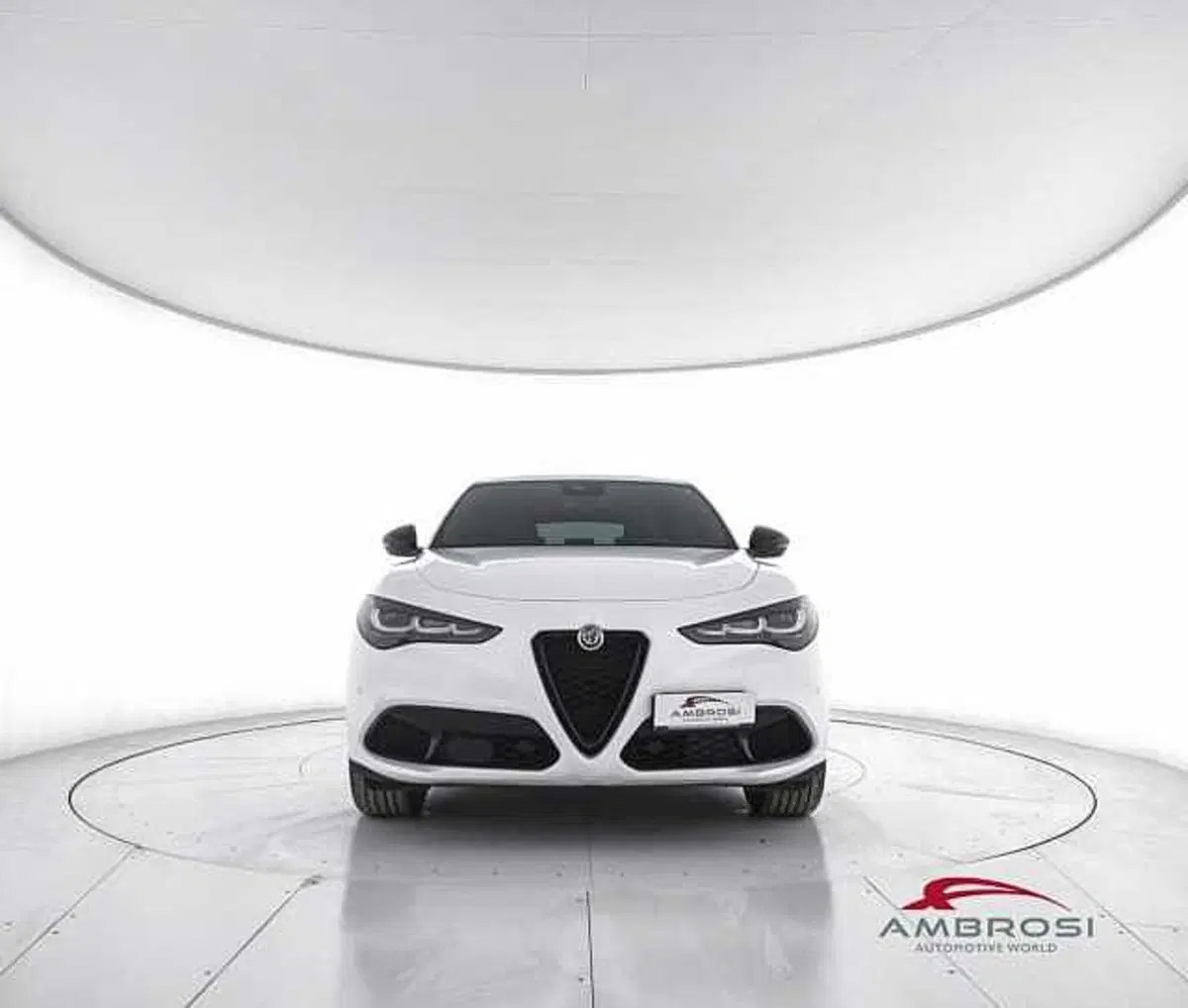 Alfa Romeo Stelvio usata a Viterbo (5)