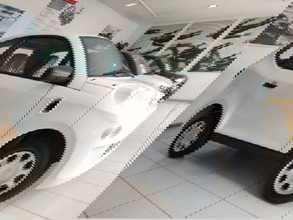 Minauto e Minauto nuova a Firenze (6)