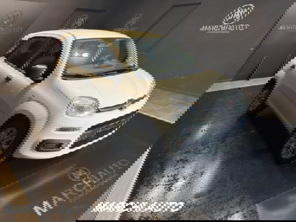 Fiat Panda usata a Perugia (3)