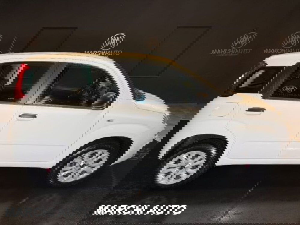 Fiat Panda usata a Perugia (4)