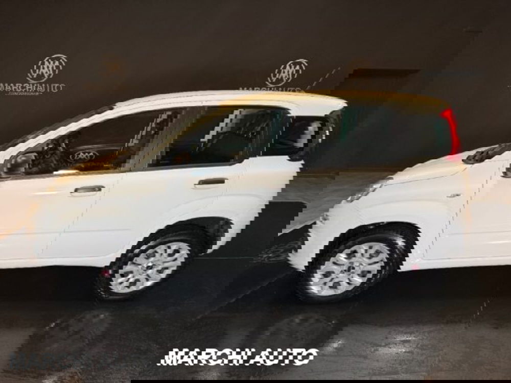 Fiat Panda usata a Perugia (8)