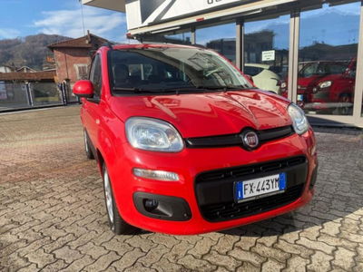 Fiat Panda 1.2 Lounge del 2019 usata a Boves