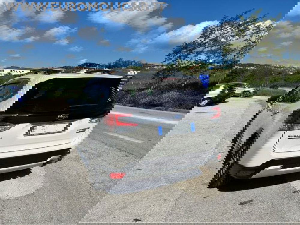 Subaru Forester usata a Campobasso (6)