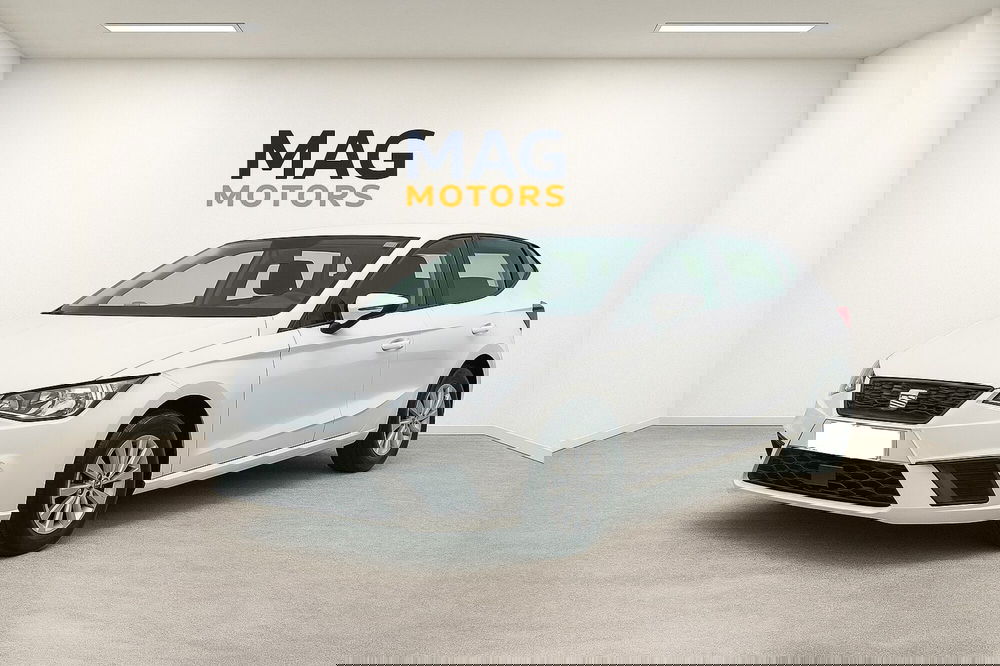 SEAT Ibiza usata a Cosenza